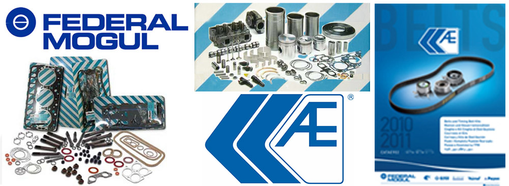 AE Federal Mogul TruckAutoPart 